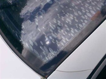 Car rear window - How to remove window tinting